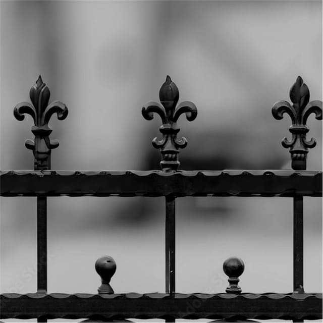 Iron Fences